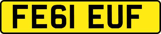 FE61EUF