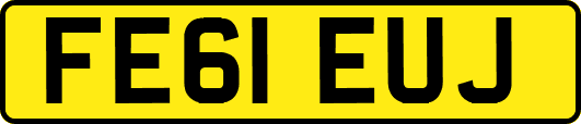 FE61EUJ
