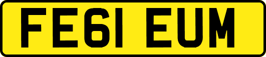FE61EUM