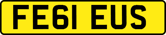 FE61EUS