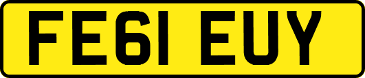 FE61EUY
