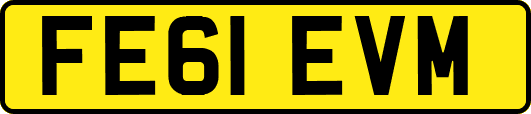 FE61EVM