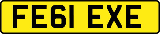 FE61EXE