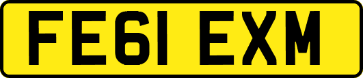 FE61EXM