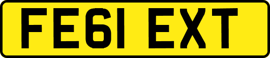 FE61EXT