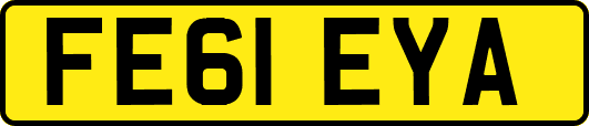 FE61EYA