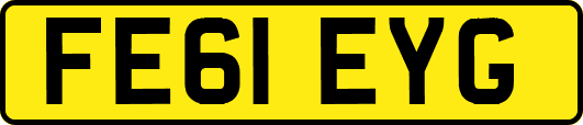 FE61EYG