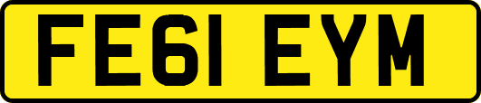 FE61EYM