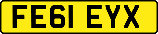 FE61EYX