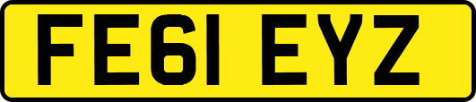 FE61EYZ