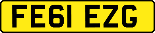 FE61EZG