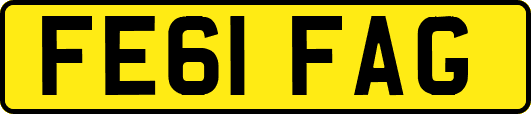 FE61FAG