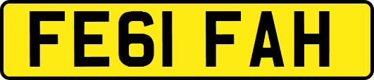 FE61FAH