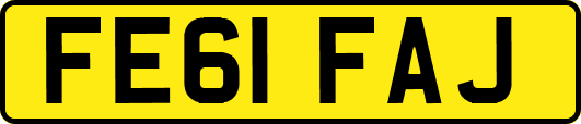 FE61FAJ