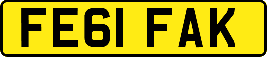 FE61FAK