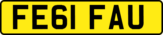 FE61FAU