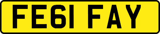 FE61FAY