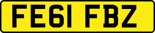 FE61FBZ