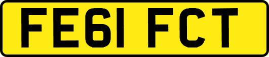 FE61FCT