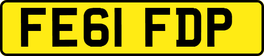 FE61FDP