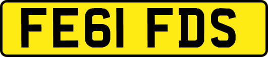 FE61FDS
