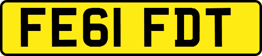 FE61FDT
