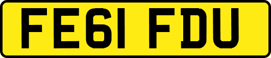 FE61FDU