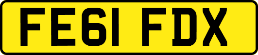 FE61FDX