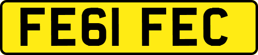 FE61FEC