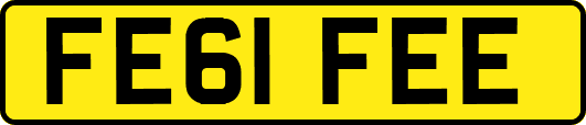 FE61FEE