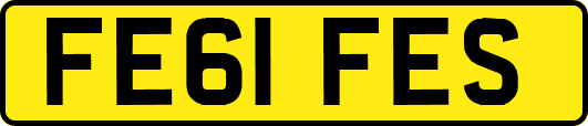 FE61FES