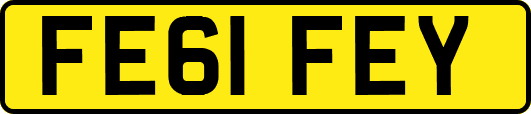 FE61FEY