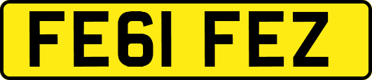 FE61FEZ