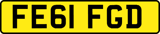 FE61FGD