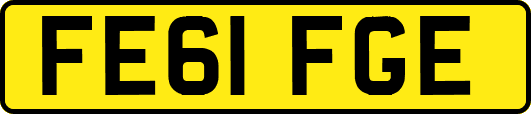 FE61FGE