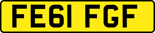 FE61FGF