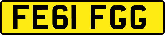 FE61FGG