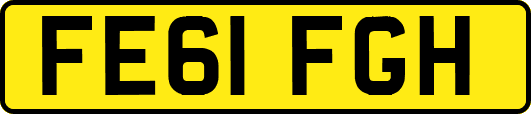 FE61FGH