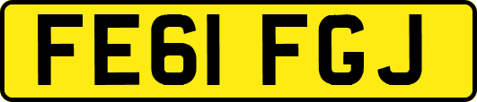 FE61FGJ