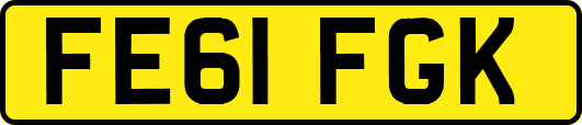 FE61FGK