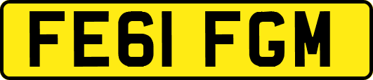 FE61FGM