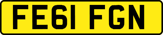 FE61FGN