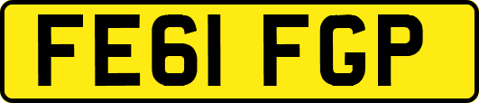 FE61FGP