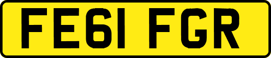 FE61FGR