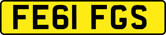 FE61FGS