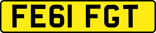 FE61FGT