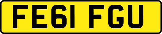 FE61FGU