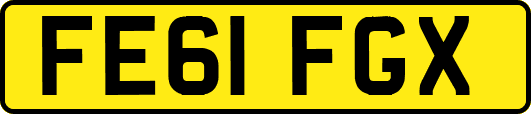 FE61FGX