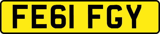 FE61FGY