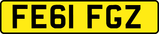 FE61FGZ